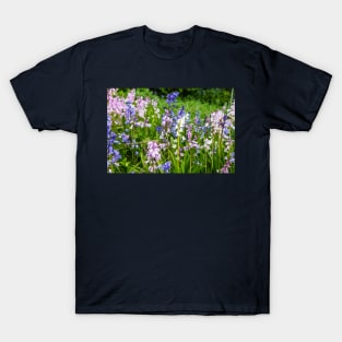 Bluebells, Pink, White And Blue T-Shirt